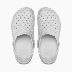 Reef Water Sage 10 Reef Water Sage -Reef CJ0097 T scaled