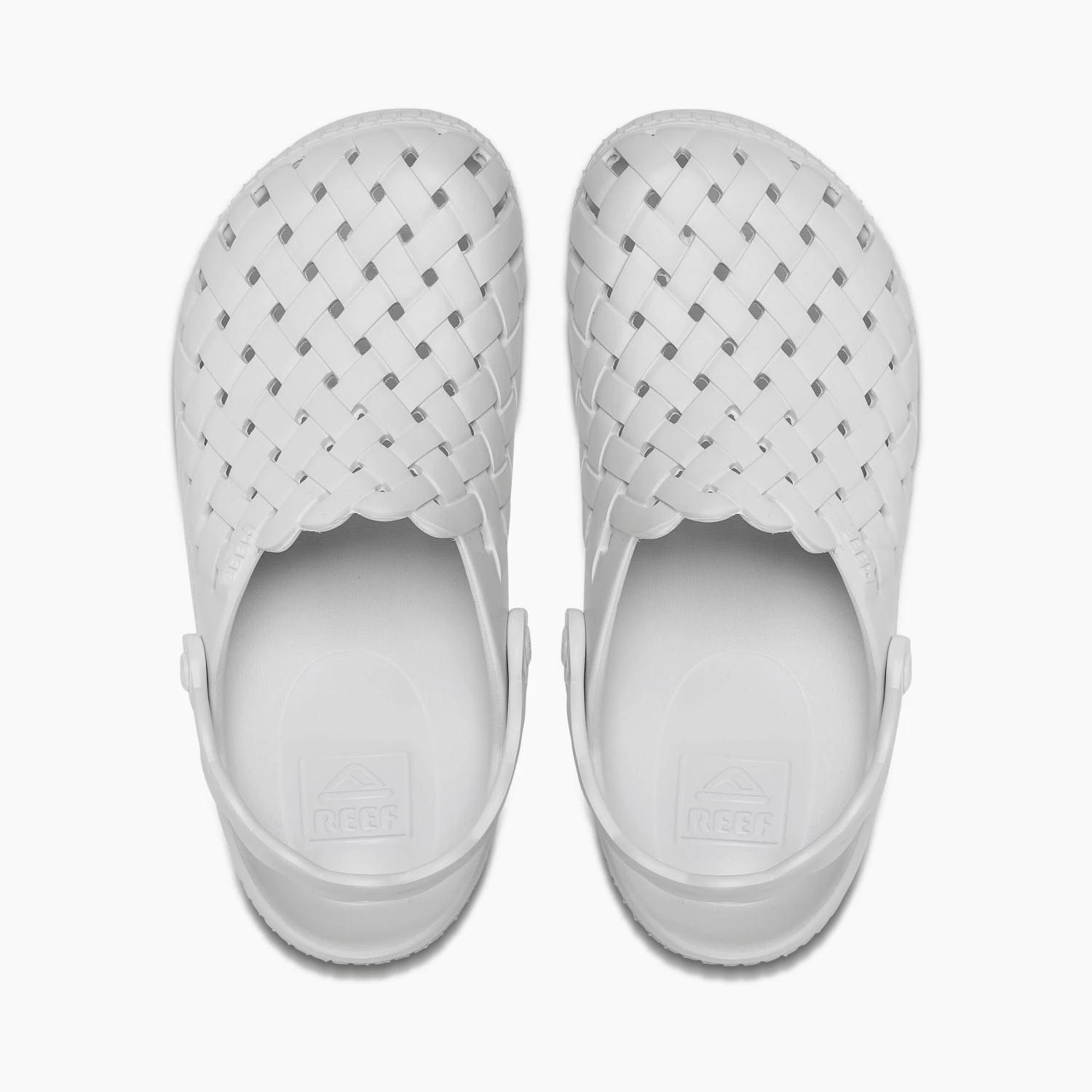 Reef Water Sage 5 Reef Water Sage - Image 5