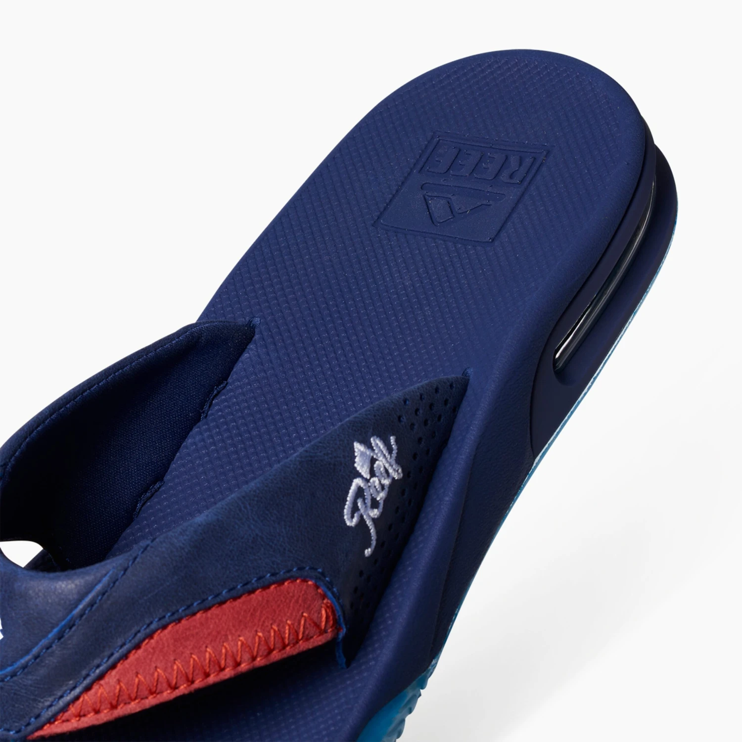 Reef Spackler 7 Reef Spackler - Image 7