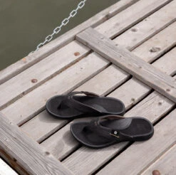 Reef Pacific -Reef Pacific3