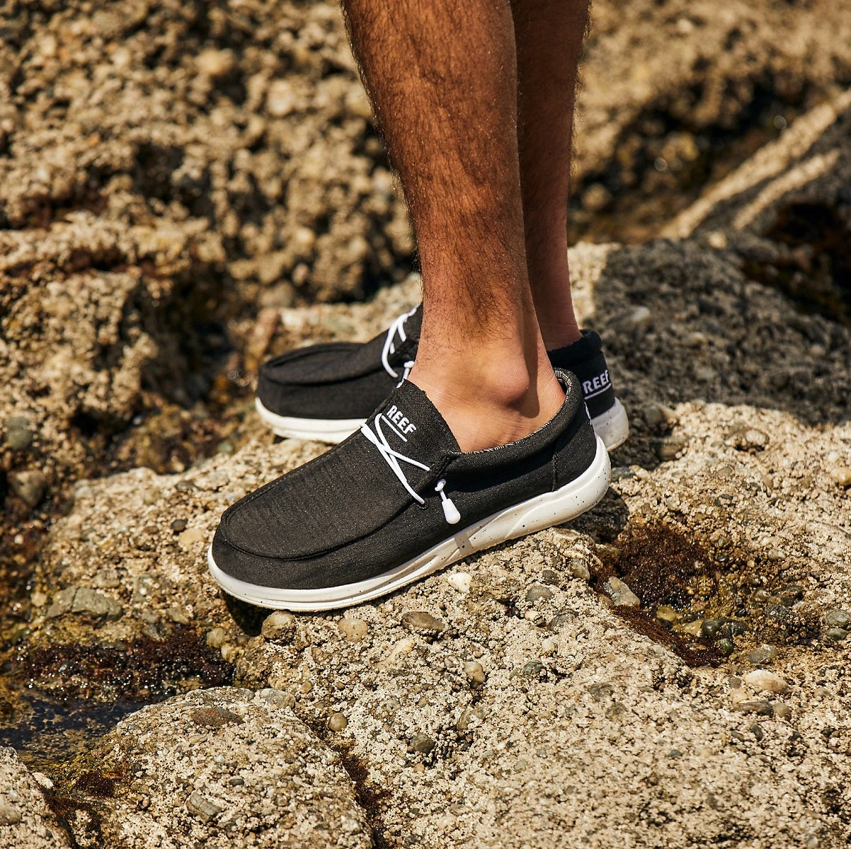 Reef Cushion Coast Textile 2 Reef Cushion Coast Textile - Image 2