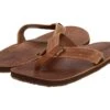 Reef Draftsmen (brown/bronze)